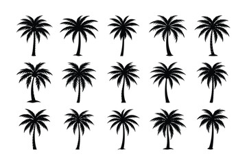 palm tree silhouettes