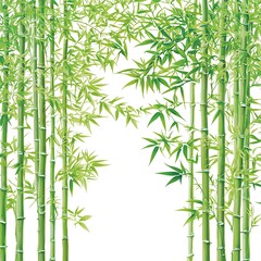 Lush Green Bamboo Forest Frame on White Background.