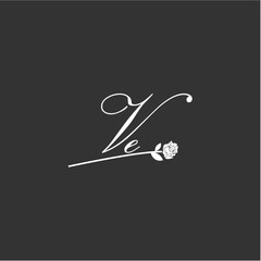 Initial VE art illustration flower design creative