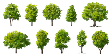  Vector watercolor green  tree or forest side view isolated on white background for landscape and architecture drawing,elements for environment or and garden,Shrub for section