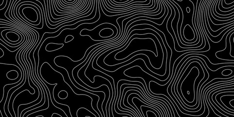 "Contemporary Abstract Topography and Geometric Line Patterns: A Detailed Sea Map Design with Striking Grid Structures on a Crisp black  Canvas"
