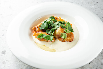 Delicious fried chicken served on creamy mashed potatoes, garnished with fresh cilantro, showcasing a modern culinary presentation against a light textured background