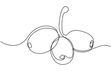 Winery Grapes Thin Line Icon On A Transparent Background, Continuous one line line art Jamun Fruit
