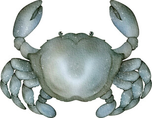 watercolor blue crab © Je
