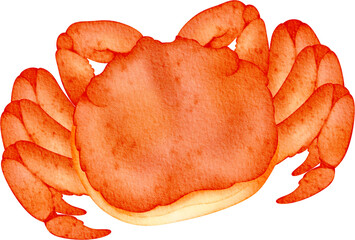 watercolor king crab © Je