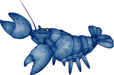 watercolor lobster