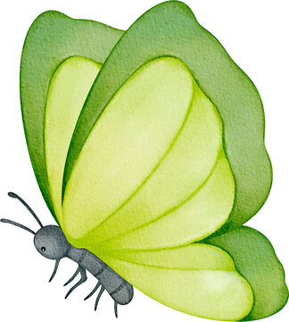 watercolor green butterfly flying clip art preview