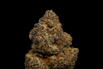 Fototapeta premium WiFi Cannabis Bud Close Up – High-Quality Macro Photography on Black Background
