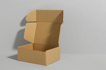 One open cardboard box on white background. Mockup for design