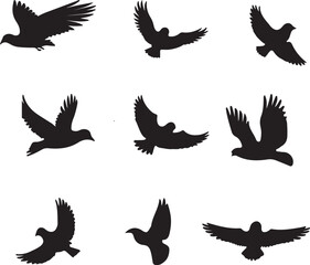 Obraz premium Set of flying pigeon silhouettes isolated on a white background vector illustration.