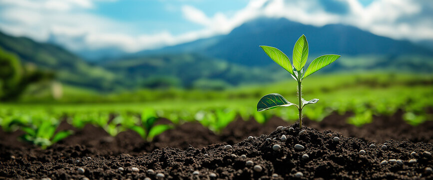 seedling sprouts from rich soil, symbolizing growth and renewal in lush landscape. vibrant green leaves contrast beautifully with dark earth, set against backdrop of mountains and blue skies
