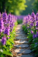 Obraz premium Purple Murdannia Giganteum flowers lining a stone path, walkway, meadow
