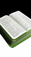 Fototapeta premium Open Book 3D Illustration