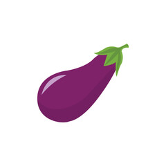 Vector illustration of purple eggplant isolated on white background