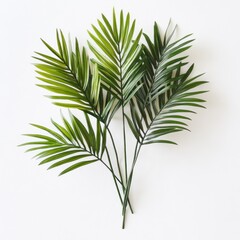 Obraz premium Artificial Palm Leaves, Flat Lay, Neutral Background, Decorative Plant, Home Decor
