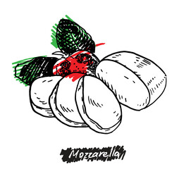 Hand drawn illustration of mozzarella. Dairy products collection templates for menu design, flyers and brochures.