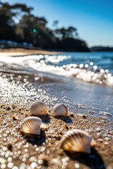 Fototapeta premium Seashells on sandy beach with gentle waves, sunlit seaside landscape capturing summer vacation, coastal relaxation and natures beauty.