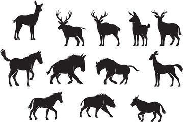  animal shilouetee