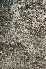 Closeup of grey weathered rock texture
