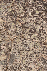 Closeup of brown rock texture in tundra