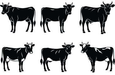 Cow silhouette set (breeds and angles). Vector Calf Silhouettes Isolated on White.