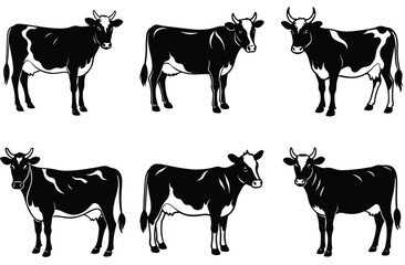 Fototapeta premium Cow silhouette set (breeds and angles). Vector Calf Silhouettes Isolated on White.