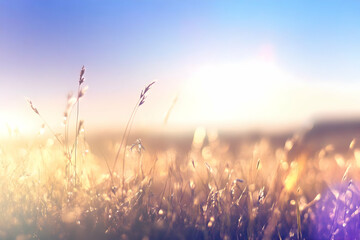 Golden Hour Meadow Illustration