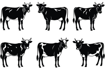 Cow silhouette set (breeds and angles). Vector Calf Silhouettes Isolated on White.