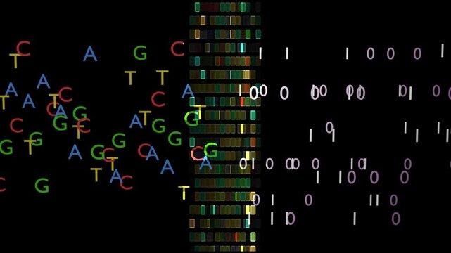 DNA digital data storage. ATCG four basic nucleotides in DNA. Encoding / decoding binary data to / from DNA strands. Transforming digital and DNA information. 3d render animation.
