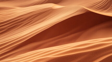 Fine beach sand in the summer sun