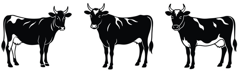 Cow silhouette set (breeds and angles). Vector Calf Silhouettes Isolated on White.