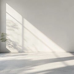 Sunlit Interior with Plant and Shadows: Minimalist White Room with Natural Light and Clean Lines
