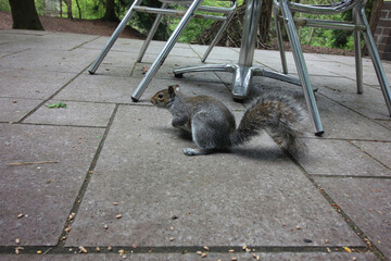 Elveden, Norfolk, United Kingdom, April 16, 2024. Views from Elveden