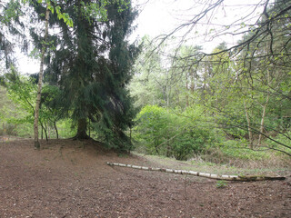 Elveden, Norfolk, United Kingdom, April 16, 2024. Views from Elveden