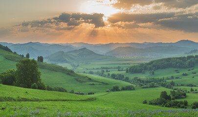Fototapeta premium Evening rural landscape, the setting sun, sunset, meadows and hills 