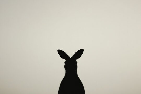 Silhouette of rabbit against soft, light background, evoking mys