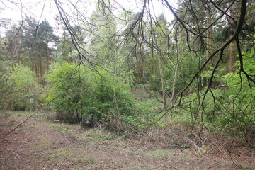 Elveden, Norfolk, United Kingdom, April 16, 2024. Views from Elveden
