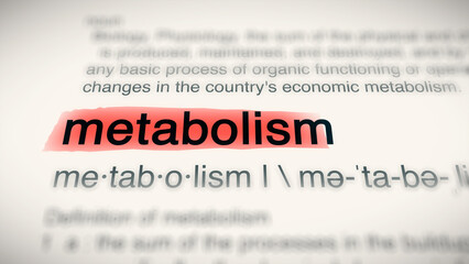 A close-up illustration of the word 