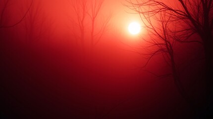 abstract background trees with sunset rays