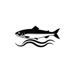 fish on white background