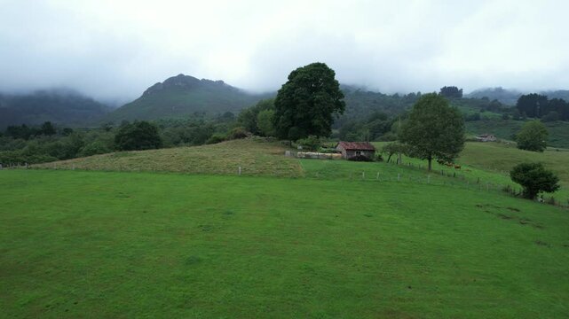 A drone flies over a shepherd's hut in the green Spanish mountains of Asturias - 291
