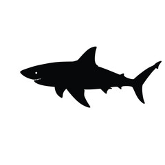 shark vector illustration