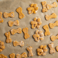 Crunchy homemade baked healthy dog treat biscuits, sweet potato, applesauce, egg, whole wheat flour on parchment paper.