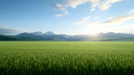 Fototapeta premium A vast field of vibrant green grass stretches beneath a clear blue sky