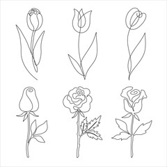 Set of One Line Drawing Flowers Illustrations
