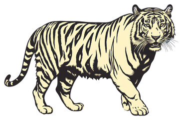 Naklejka premium PNG Tiger wildlife animal mammal.