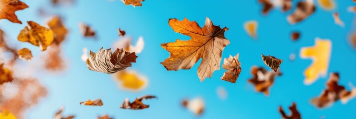 Obraz premium Vibrant Autumn Adventure Children Playing in Rustling Leaves in a Natural Park - Lively Seasonal Content and Outdoor Childrens Wear Promotion