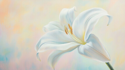 Single white lily