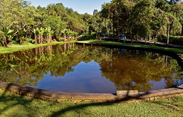 Lake in ecological park, Sao Paulo, Brazil