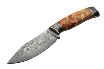 Modern Kitchen Knife with Sleek Design and Durable Construction: Isolated on Transparent Background